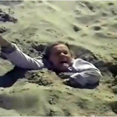 The Second Arrangement. SteelyDan FAKE