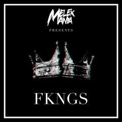 Melek Mania - FKNGS (Original Mix)