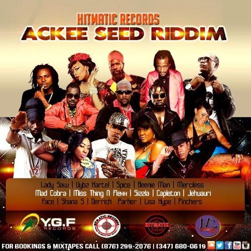 Ackee Seed Riddim - Hitmatic Records