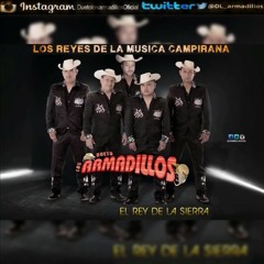 Dueto los armadillos(( para que no te vayas)) estreno 2015