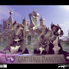 Dmitry Montana - Cartierul Danuteni Prod. By MadReal