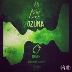 Anuel AA Ft. Ozuna - 69 (Official Remix)