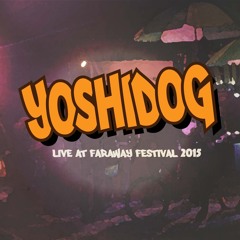 Yoshidog Live @ Faraway Festival