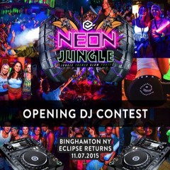 Neon Jungle Binghamton DJ Contest Mix