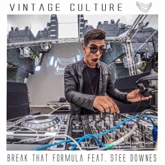 Vintage Culture - Break That Formula Feat. Stee Downes