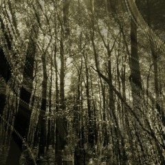 All I Wanted (Paramore Cover)