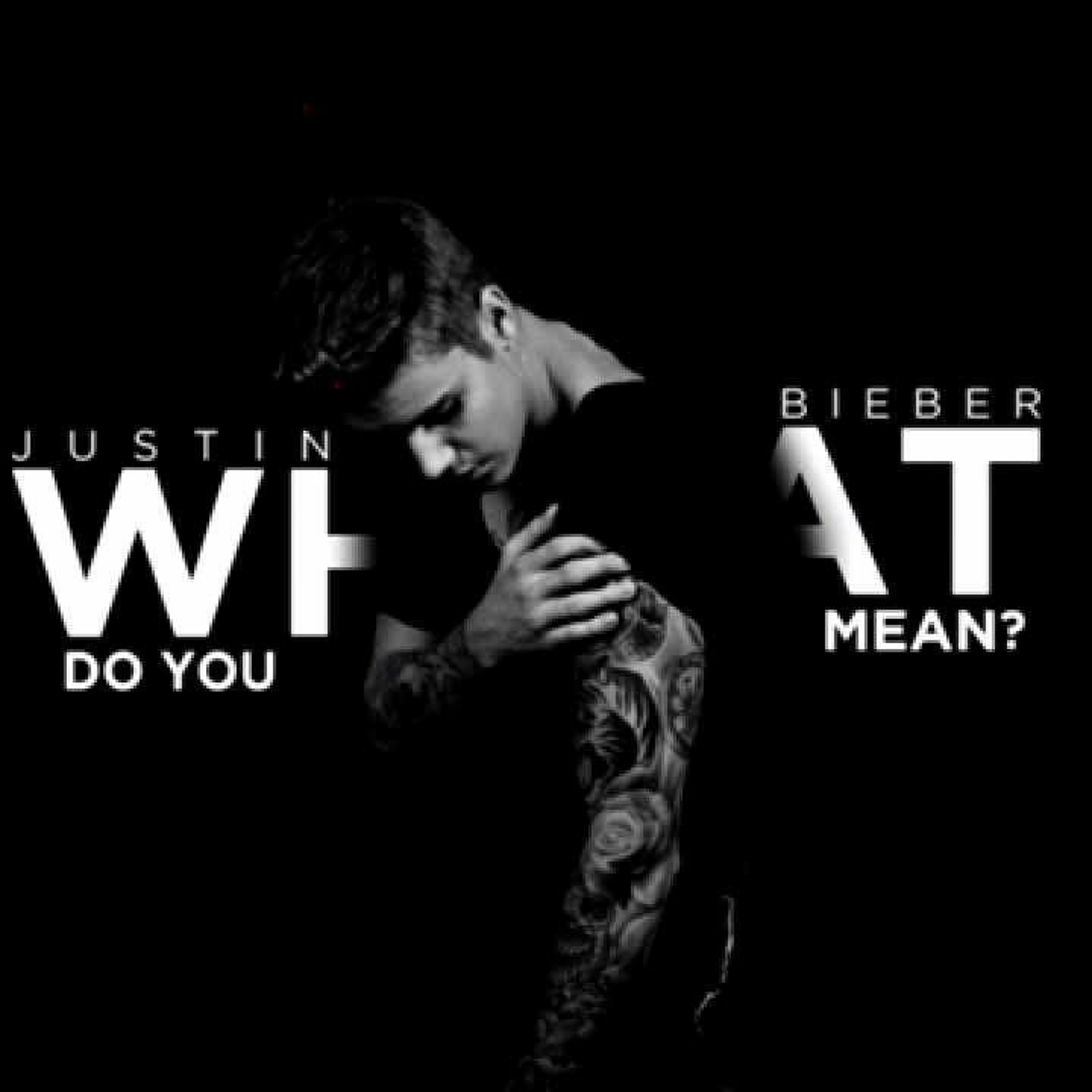 JUSTIN BEIBER - WHAT DO YOU MEAN RMX FT. $HA-MONEY