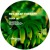 Artwork for Red Meat Therapy - Volk EP