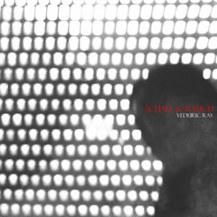 Von Illusionen & Parasiten [Outro]