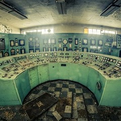 Duper Dans Les Fougéres