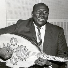 عبدالعزيز محمد داؤود  - السراى