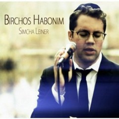 Birchos Habonim - Simcha Leiner (Ohad Cover)