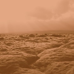 La Plainte Des Dunes