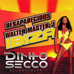 Desaparecidos - Ibiza 2k15 (Dinho Secco Intro Dub Boot Edit) Free Download