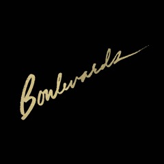 Boulevards - Forgot To Mention