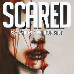 Sex Whales & Phantom Sage - Scared
