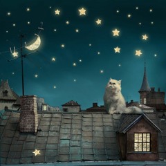 Sternennacht / Starry Night - Sandra Labsch