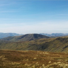 Deer Shone Gold (Full Session)