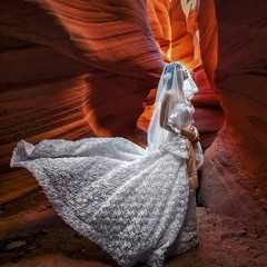 Clint Eastwood's Desert Rose