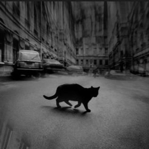 Alleycat (Big Band Test)