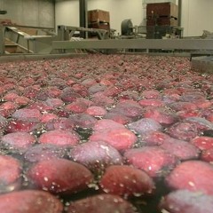 U.S.-Mexico apple dumping still unresolved. Ag Minute Oct. 19, 2015