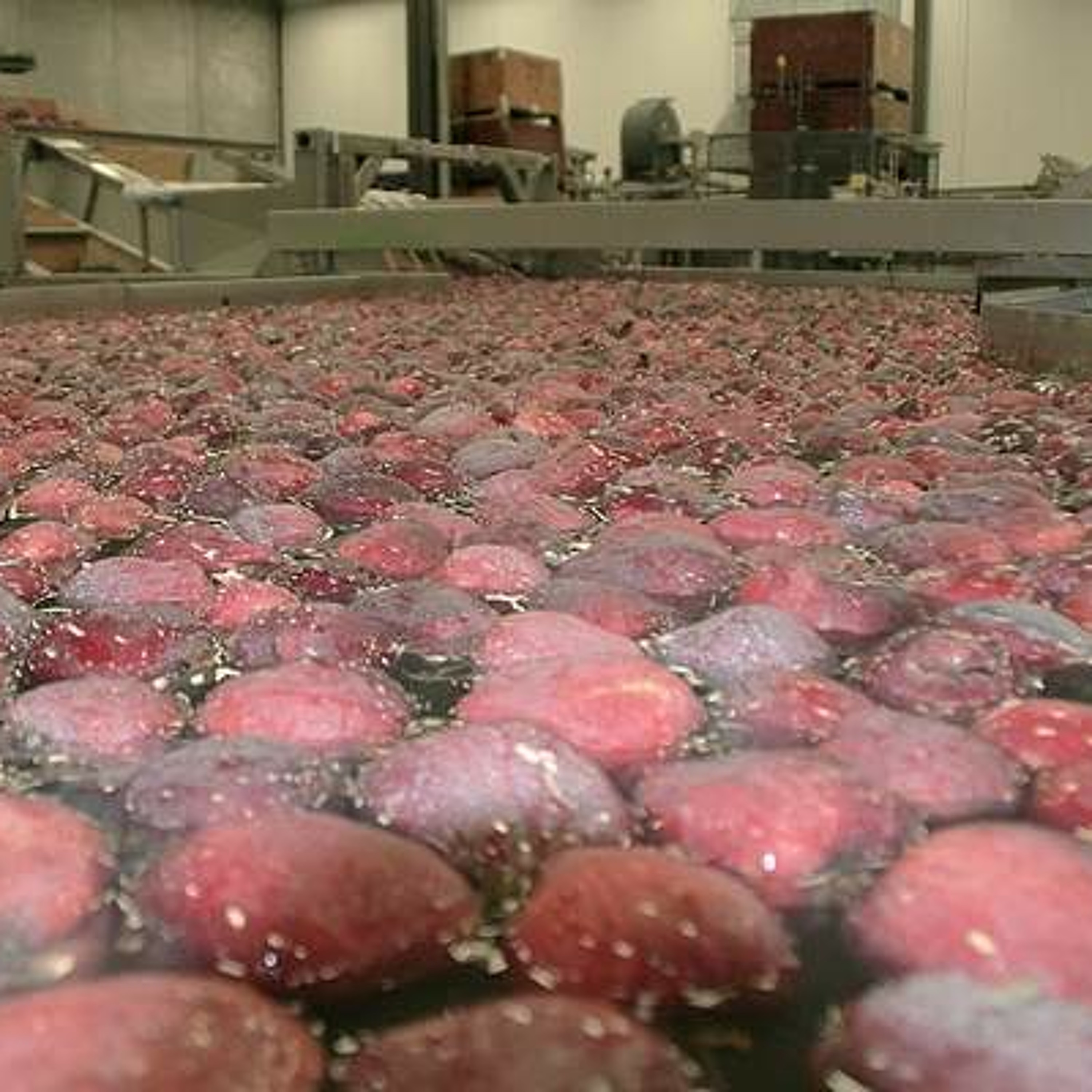 U.S.-Mexico apple dumping still unresolved. Ag Minute Oct. 19, 2015 episode artwork