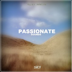 Ricky Martin Wijaya - Sky [PS Release]
