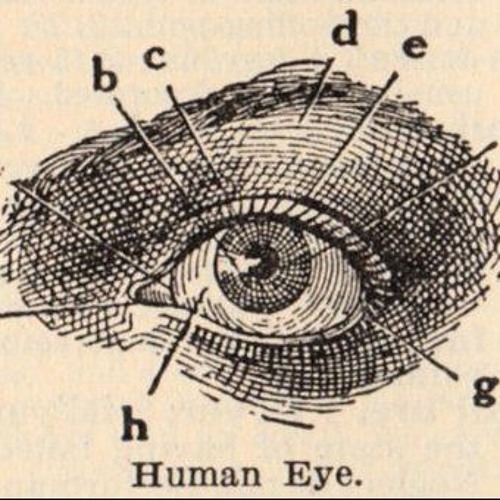 Stream Feldenkrais Covering the Eyes by Madelyn Listen online for