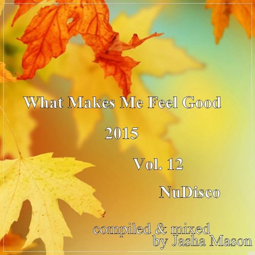 What Makes Me Feel Good 2015 Vol. 12 NuDisco