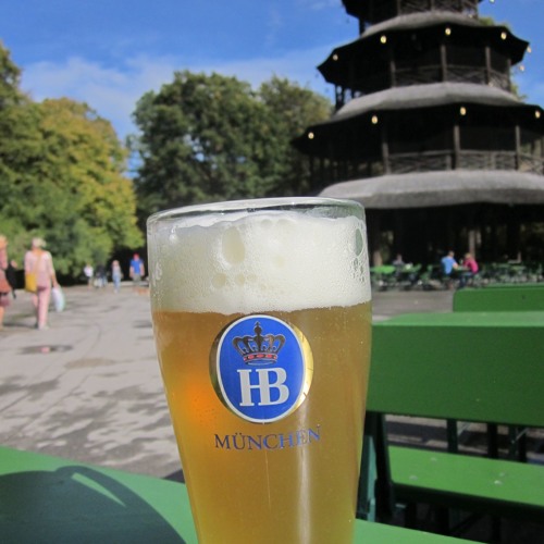 Somewhere Along The Line I Did Miss The Low-Hanging Fruit