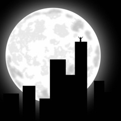 I Like The Night