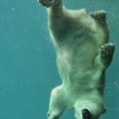 Heart Wants What It Wants