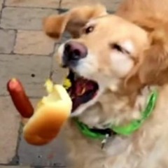 Learning To Fail (electric demo)