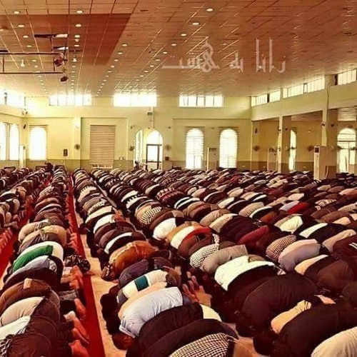 Raad Mhamad Kurdi رعد محمد کوردی