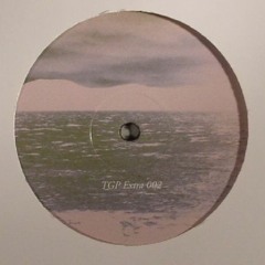 Reggy Van Oers - Tetra
