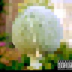 POPPYSEED | LEEK X MOON prod (Say No More)