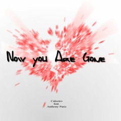 Calectro Feat. Anthony Paris - Now You Are Gone (Club Mix)