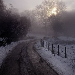 Cold Morning