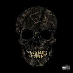 Yelawolf & DJ Paul Black Fall
