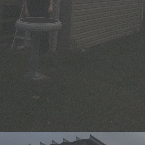 vibes