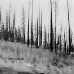 This Is Magic (Majical Cloudz Cover)
