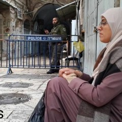 ْ.لنْ يأسروا في الوردِ عطر الياسمين