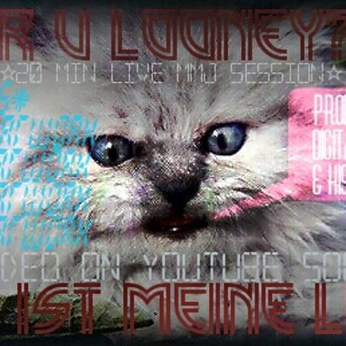 Digital Nematodes - R U LOONEY? GLITCHY