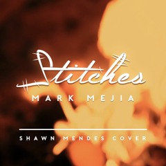 Stitches (Shawn Mendes Cover)