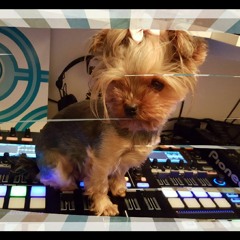 Dani-C Progressive Underdog 003 [October] 2015