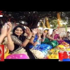 V6 Bathukamma Song ( TheenMaar Mix )