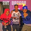 Shy Bangaa Gang In This Bitch {lil Bibby}remix Mp3