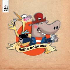 Zelf wel - Radio Oorwoud (feat. Stijn Meuris)