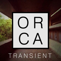 Orca - Transient (original Mix)
