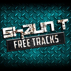 SHAUN T - FREE TRACKS *Download Now*